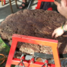 Kuckó Mackó 5. születésnap és jótékonysági evőverseny