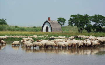 Turisztikai fejlesztések indulnak a Fertő- tájon 