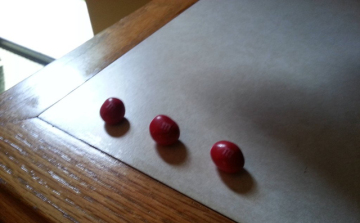 Viccből hülye dolgokat kért a szállodába, megkapta