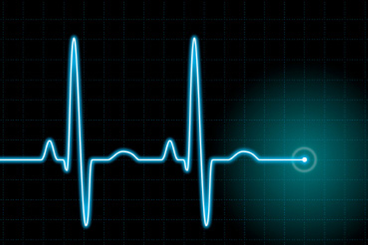 Mire figyeljünk tavasszal?