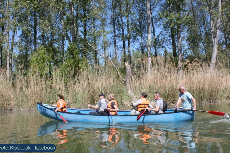 A madarak nyomában: ismeretterjesztő program és vízitúra Kisbodakon