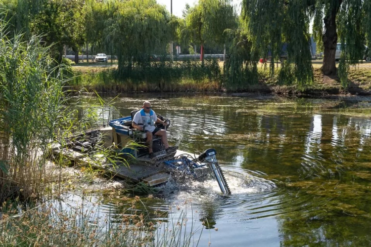 Vágják a hínárt a győri tavakon