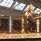 2015.05.09. Profi MMA Gála fotók:árpika