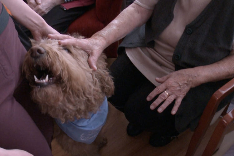 Nudlival teszik szebbé a napot