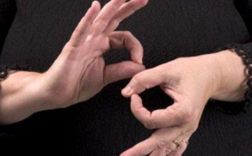 Közös nemzetközi konferenciát tartott a SINOSZ és a  WFD