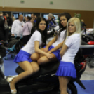 Tuning show - Fotók: Prém Zoltán