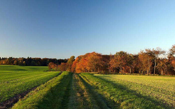 Akár 20 fok is lehet a héten