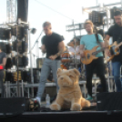 2018.05.12.Szentiváni Fesztivál 2. nap Fotók:árpika 