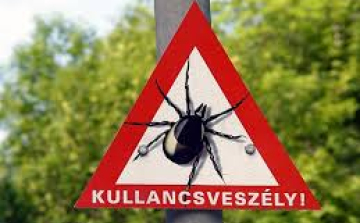 Tavaszi vámpírok - tudjunk meg többet a kullancsokról