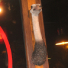 2018.10.13. Mamma Mia Grand Opening Party Dj:Balage