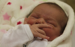 Silye Gréta Teodóra 