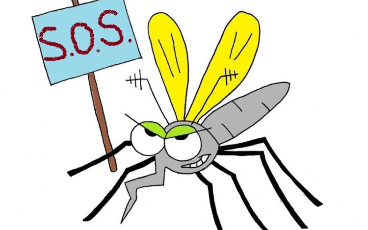 Ismét retteghetnek a vérszívók