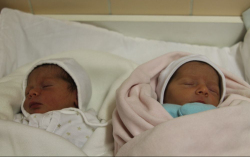 Tulcan-Szarka Liza és Lili