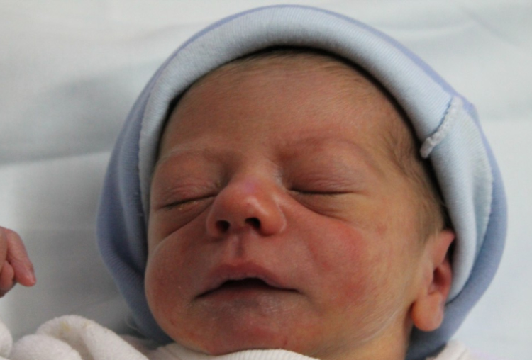 Heiner Dániel Benjamin