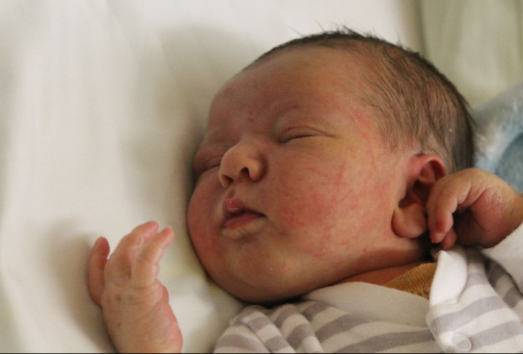 Hornyák Bence Ferenc 