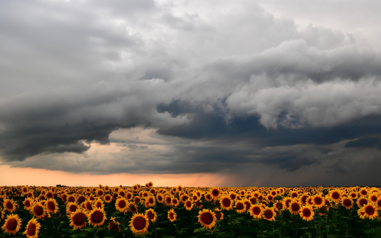Erős széllel enyhül a forróság
