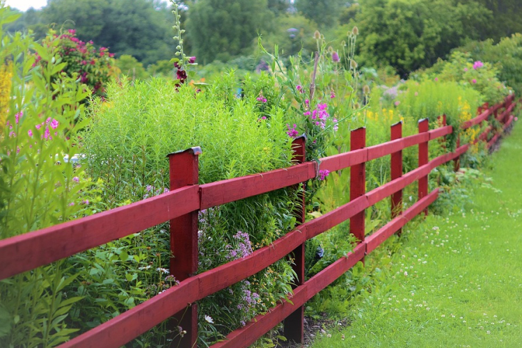 Motoros géppel permetez? Mostantól kötelező erről tájékoztatnia a szomszédokat!
