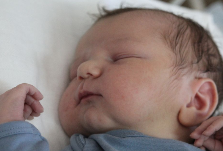 Halász Erik Marcell 