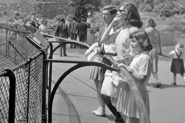 Kiállítás megnyitó: Zilia, Hamlet, Szindbád Ruttkai Éva Gábor Miklós, Latinovits Zoltán