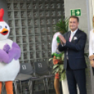 2017.07.26. EYOF 2017 Győr 3.nap Fotók:árpika 