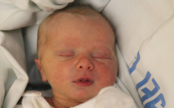 Gergely Bercel Péter 