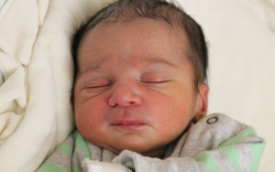 Virág Alex Fernándó 