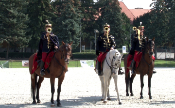 Elkezdődtek a Bábolnai Gazdanapok