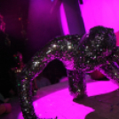 Club Vertigo - Chris Lawyer 2013.03.23. (szombat) (2) (Fotók:Vertigo)