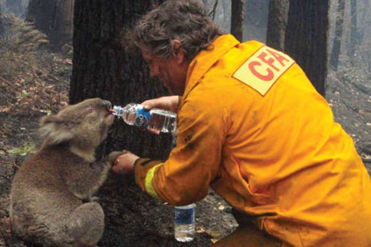 20 szívszorító fotó!