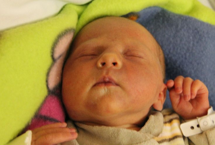 Pelyhe Rebeka Liliána