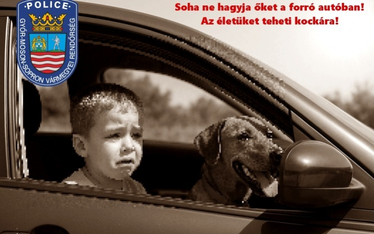 A hőségben egy percre se!