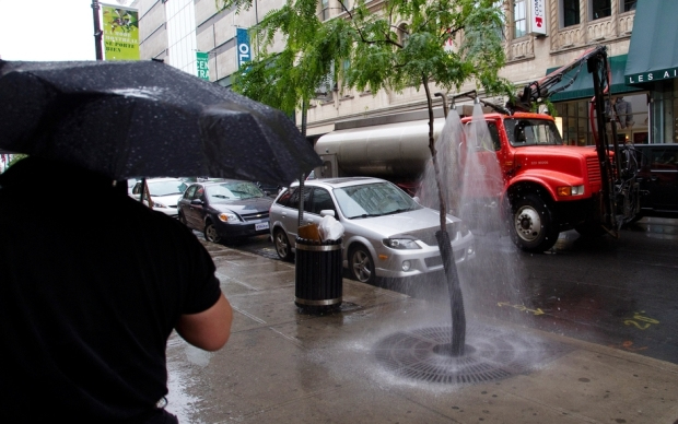 Locsolás Győrben a nagy hőségben 