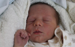 Megyesi Dániel Attila