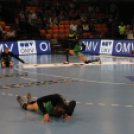 2017.11.17.Győri Audi Eto Kc- Brest Breategne női Bl Kézilabda mérkőzés Fotók:árpika