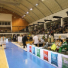 2013.02.22 Hat-Agra Uni Győr-Fenerbahce Euroliga női kosárlabda Fotók:árpika