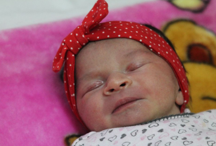 Kalmár Hermina Maja 