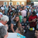 2017.08.28. Győri Audi ETO Évadnyitó Fotók:árpika 