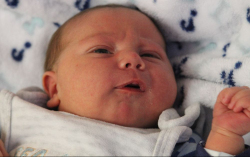 Lalák Benett Dávid 