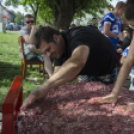 Mackó Kuckó jótékonysági evőverseny és 5. születésnap