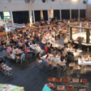 2015.05.09. Profi MMA Gála fotók:árpika