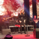 2017.10.28. Charlie 70. Születésnapi koncert Fotók:árpika 