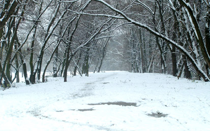 Járhatatlan út nincs Győr-Moson-Sopronban