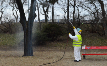 NÖVÉNYVÉDELMI MUNKÁK