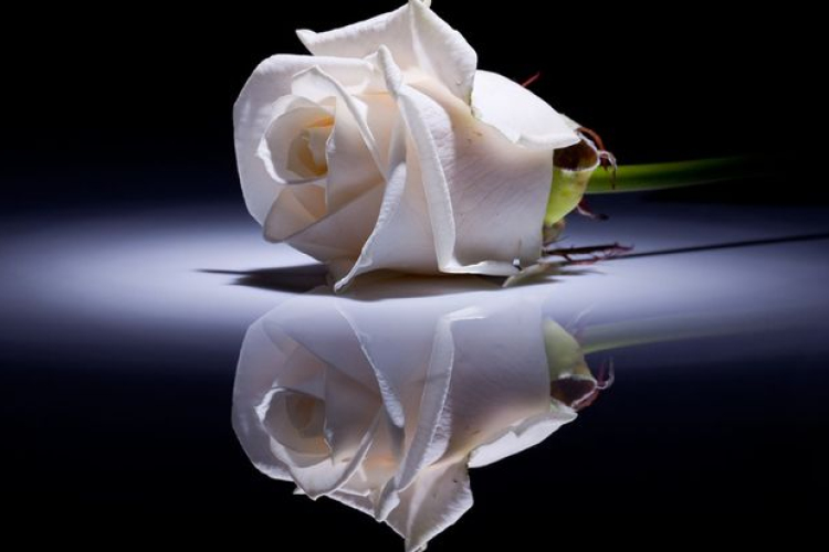 Meghalt a Győr-Moson-Sopron megyei Rábcakapi polgármestere