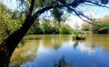 Egy kis evezési kisokos a szigetközi vízi paradicsomhoz