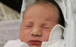 Molnár Zoárd Máté