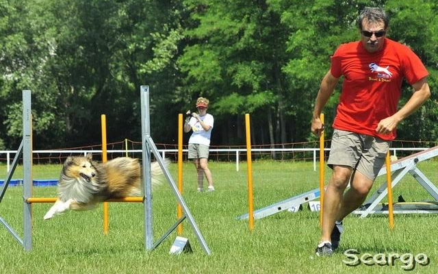 AZ A-TEAM AGILITY GYŐR CSAPATA ISMÉT MEGRENDEZI AZ  ARRABONA  AGILITY  KUPÁT