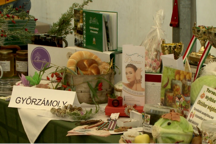 A Szigetköz értékei mutatkoztak be