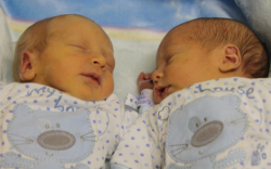 Fodor-Dani Olvivér és Márk