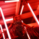 Club Mundo -  Julia Carpenter 2013.05.11. (szombat) (1) (Fotók:Vertigo)